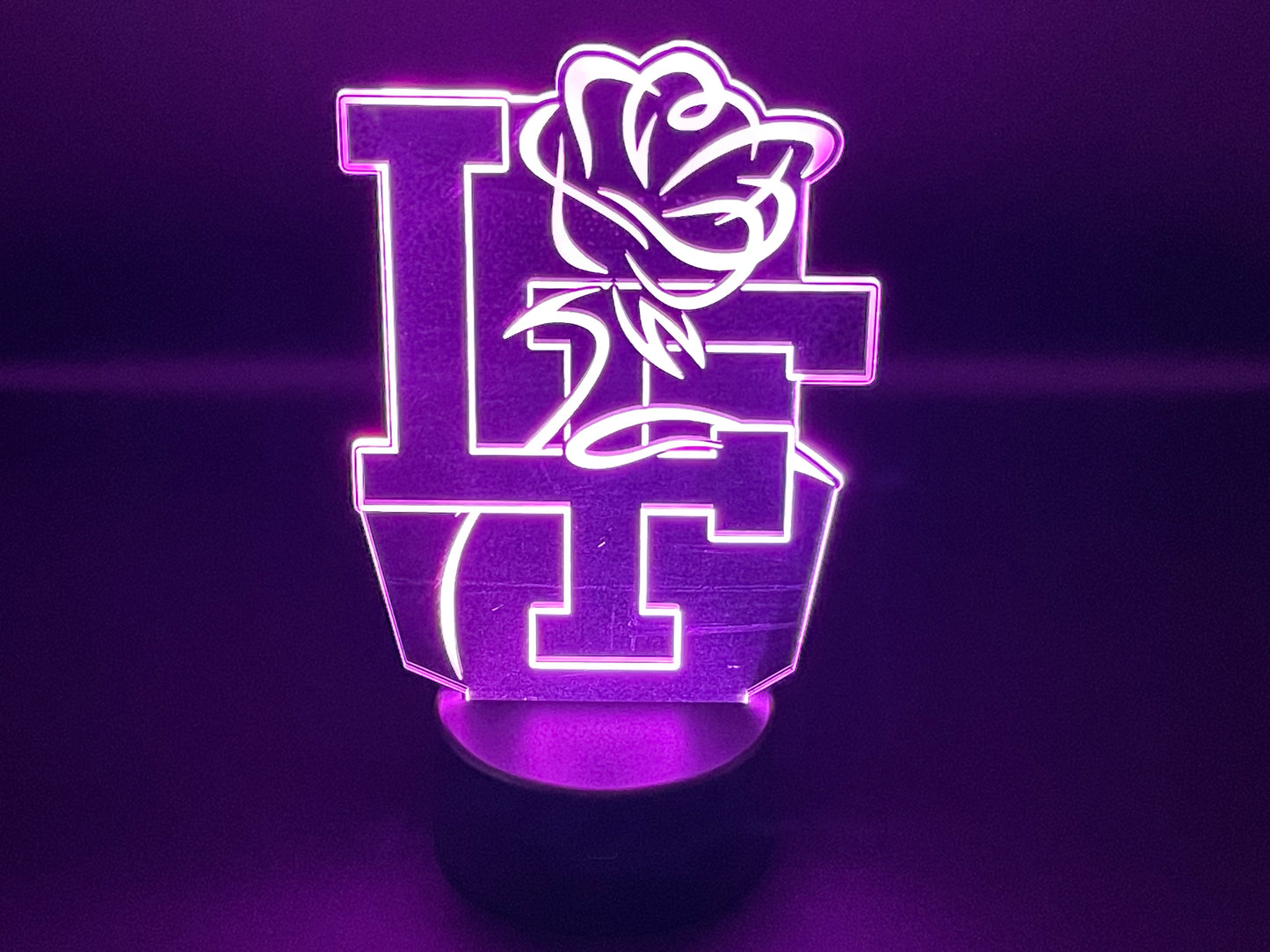 Little Flower Catholic High School 3D LED