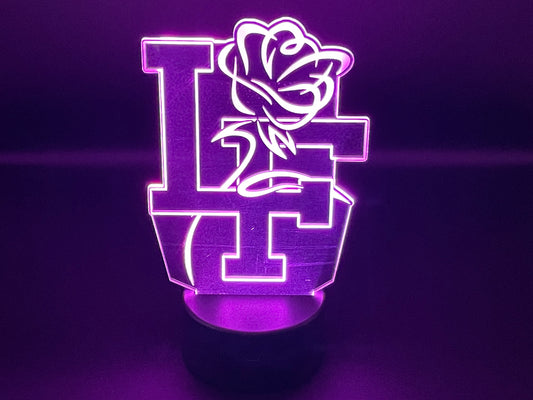 Little Flower Catholic High School 3D LED