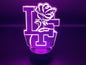Little Flower Catholic High School 3D LED
